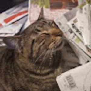 Meet your Posher, Bonnie